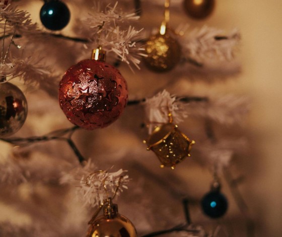 Find the Perfect Christmas Tree for Sale